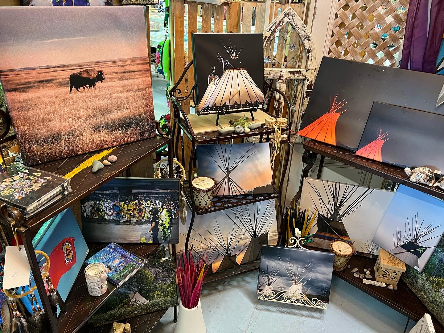 Buffalo Canvas Print