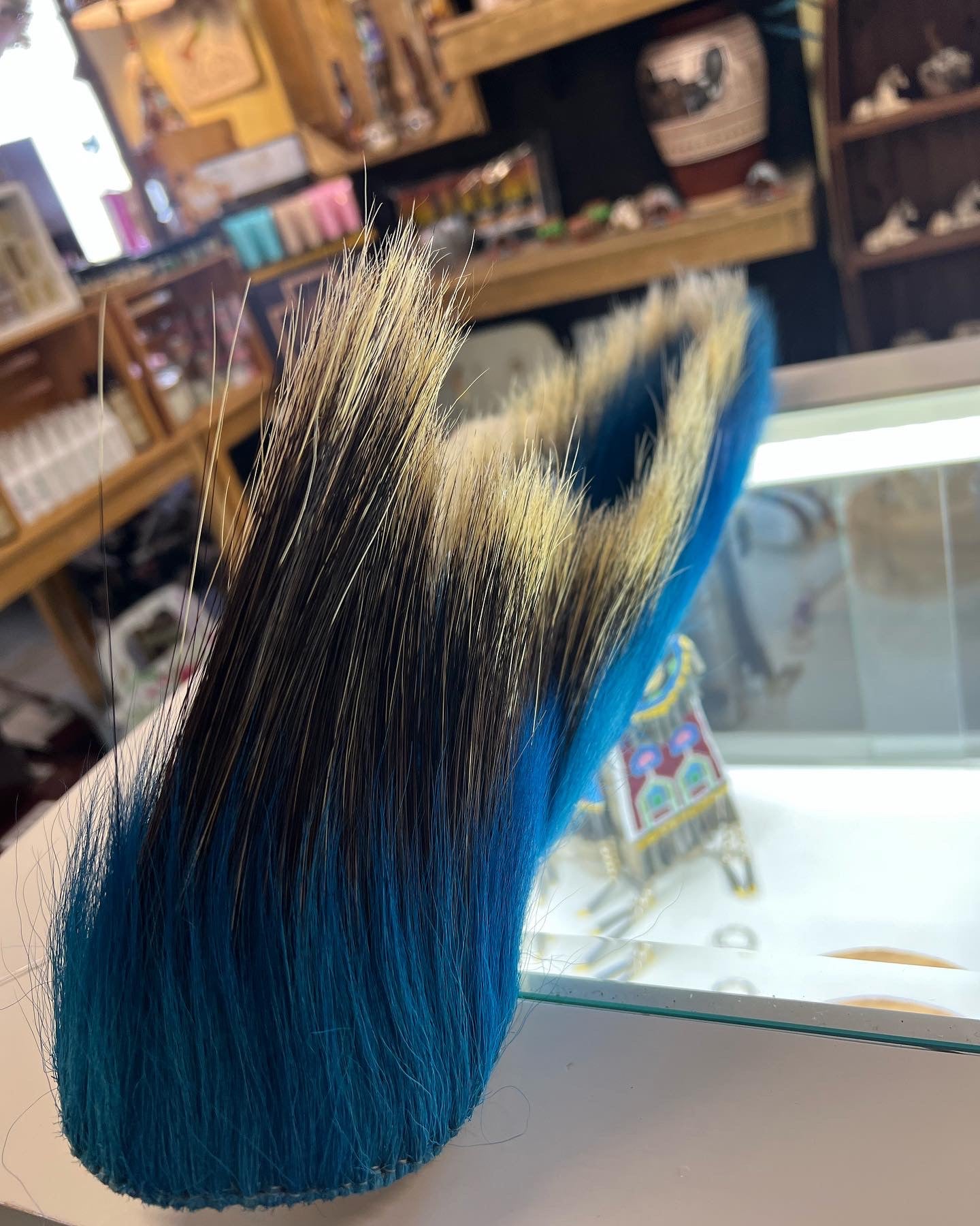 Porcupine Roach